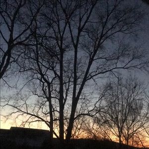 Meet your Posher, Lilli